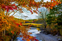 Autumn Stream at Rocky Neck State Park